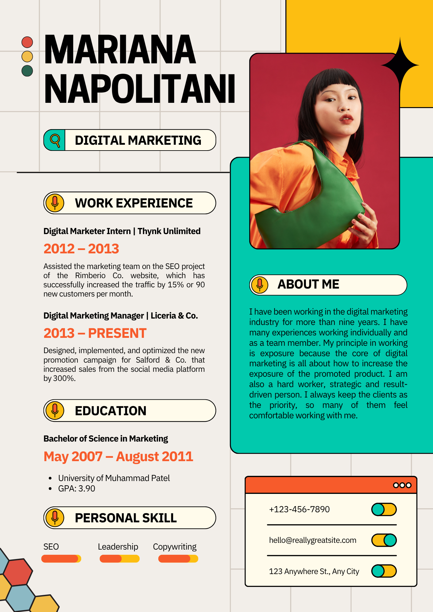 Professional Resume